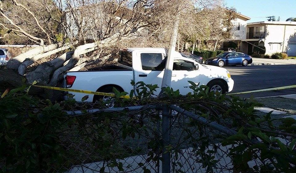 Árbol caído sobre una camioneta en Oxnard, CA