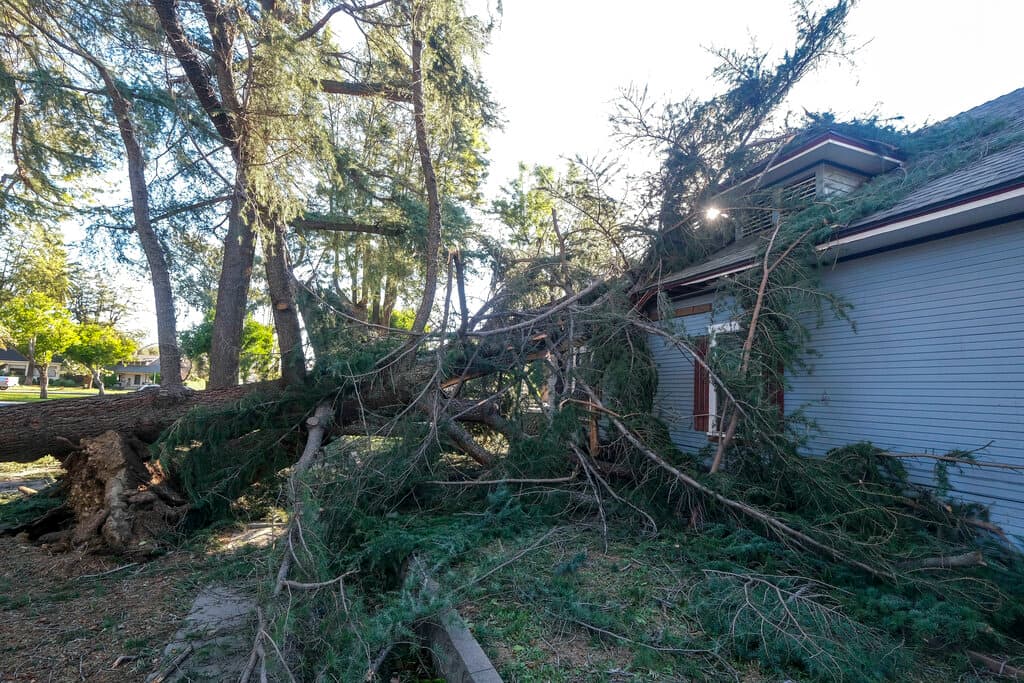 Alertan por fuertes vientos de Santa Ana con velocidad de huracán en el sur de California