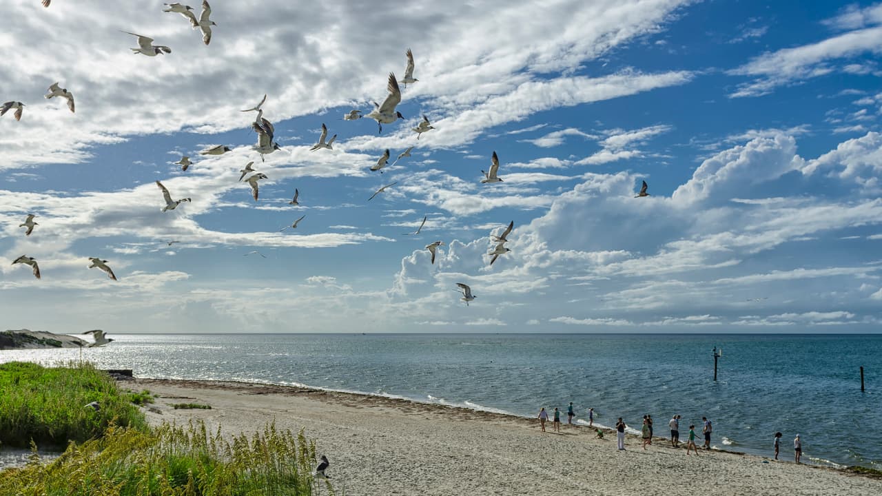 <b>Puesto 3. Playa de Ocracoke, Carolina del Norte</b>.
<br>
<br>“Ocracoke, que alguna vez fue el hogar del pirata Barbanegra, sigue siendo un sitio especial y es mi playa de escapada favorita”, dice el “Dr Beach’. “No espere jugar al golf o quedarse en el Ritz, allí las actividades principales son nadar y caminar por sobre la arena” agregó el académico.
<br>