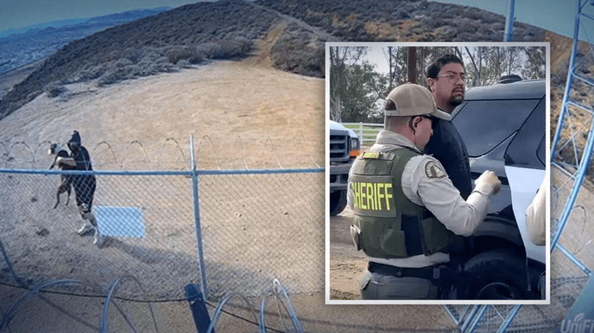 Arrestan a hombre acusado de arrojar a perro pitbull en torre de telefonía en Riverside