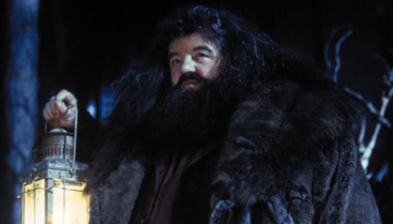 Hagrid