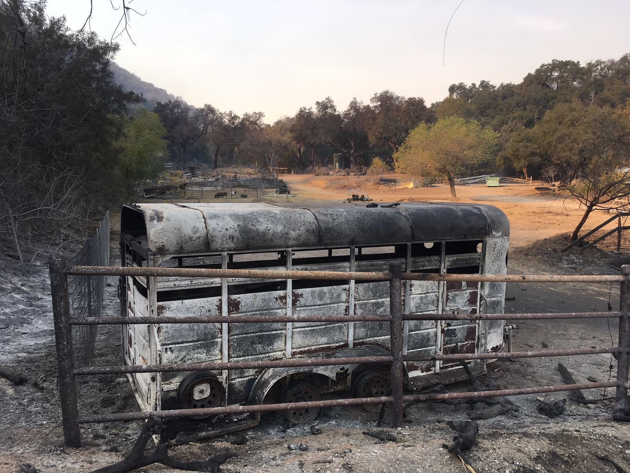 El fuego ha sido avivado por ráfagas de viento de más de 50 millas por hora que se espera que continúen en la zona junto con baja humedad a lo largo de la semana, según el pronóstico del Servicio Meteorológico Nacional.