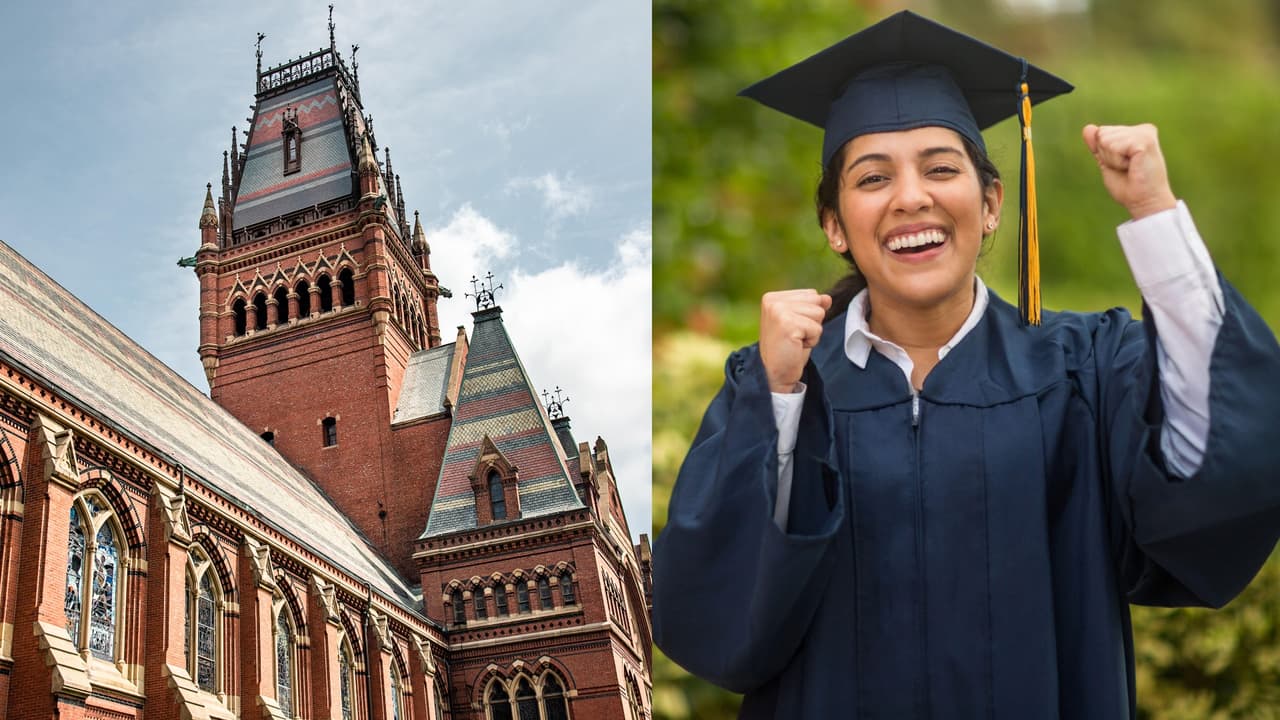 Clases gratuitas en Harvard y más compras de Chica lista