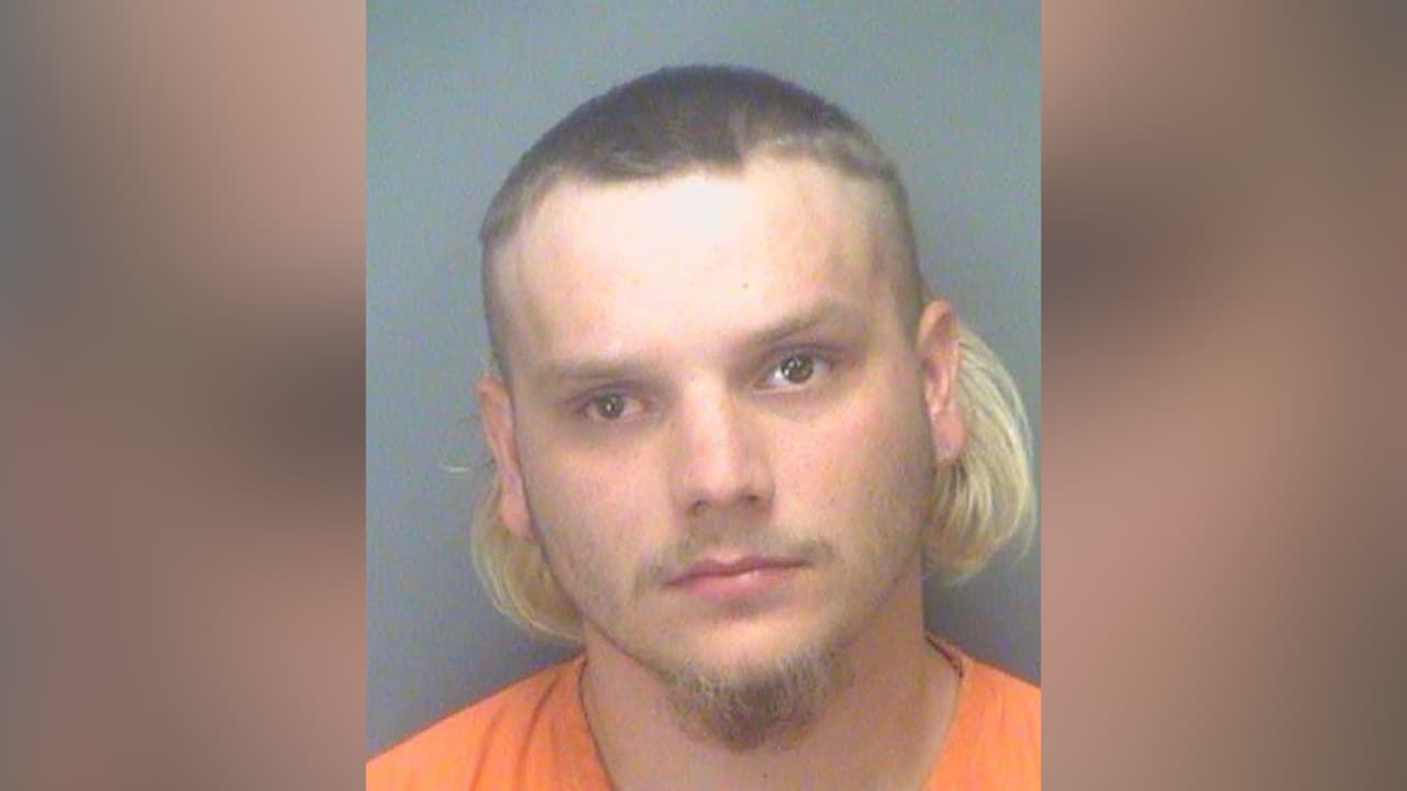 Arrestan a un hombre por maltratar a un cachorro en playa de Clearwater                