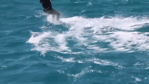 Mientras que Barack Obama recorrió 100 metros antes de caer.