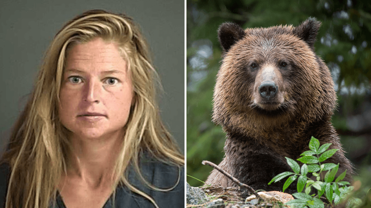 Quería hervir orina de oso para beber: lo que se sabe de la mujer de Palo Alto acusada de iniciar incendio