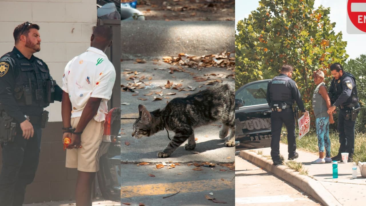 Arrestan a pareja en el condado de Harris acusada de maltratar a un cachorro y posesión de sustancias ilícitas