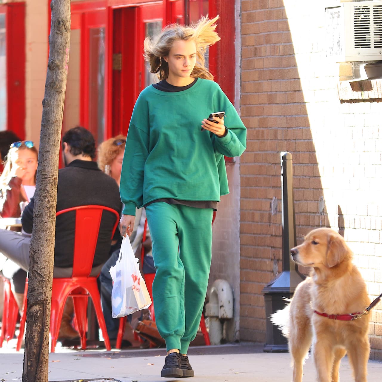 Seguro le faltaban leche o huevos para hacerse un delicioso desayuno.