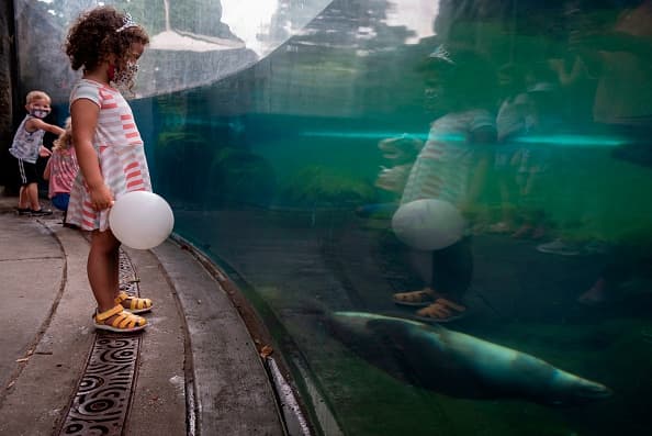 ¿Qué tanto lo transmiten? ¿Cuánto les afecta? Lo que debes saber sobre el covid-19 y los niños 