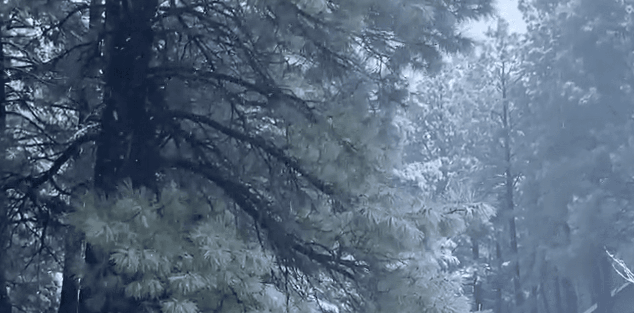 Una
<b><a href="https://www.univision.com/local/arizona-ktvw/lluvia-nieve-arizona-tormenta" target="_blank">tormenta invernal</a> que afecta la región</b> nos ha dejado sentir sus efectos.