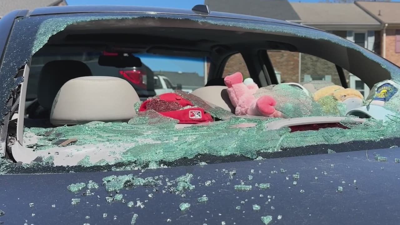 Nuevos detalles del tiroteo en Virginia en el que un residente disparó e hirió a un sospechoso