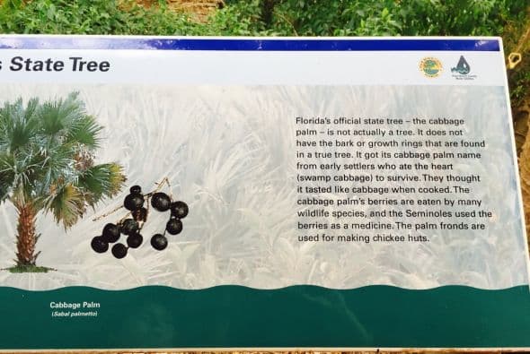 Cosas insólitas que solo se ven en Florida.