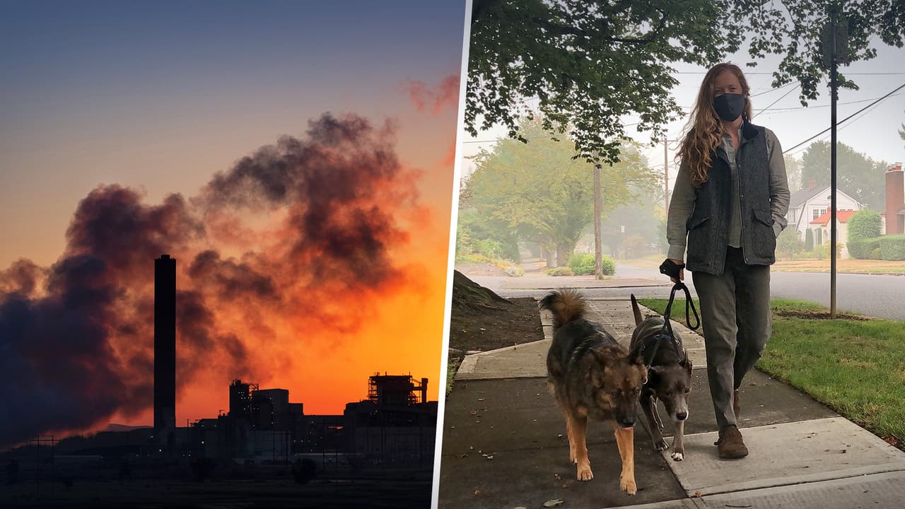 ¿Sabes cuál es la calidad del aire que estás respirando? Estas páginas de Internet te lo dicen de manera gratuita