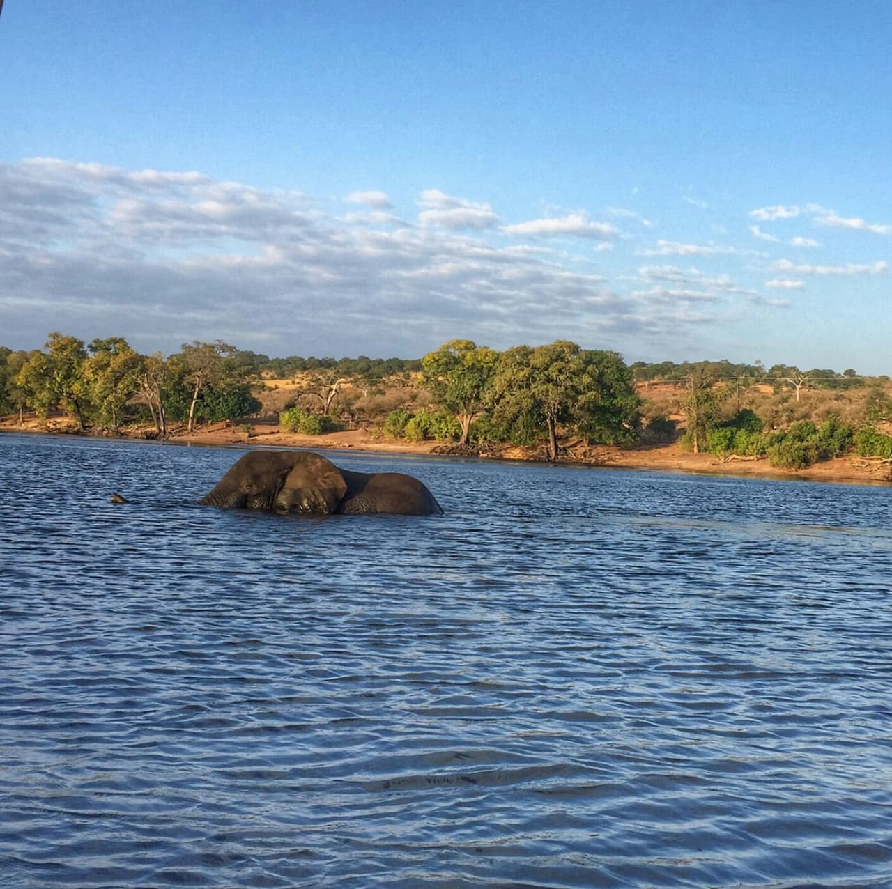 Tanto Mauricio como Aislinn se consideran aventureros, disfrutan viajar y tomar fotos de los lugares que visitan.
