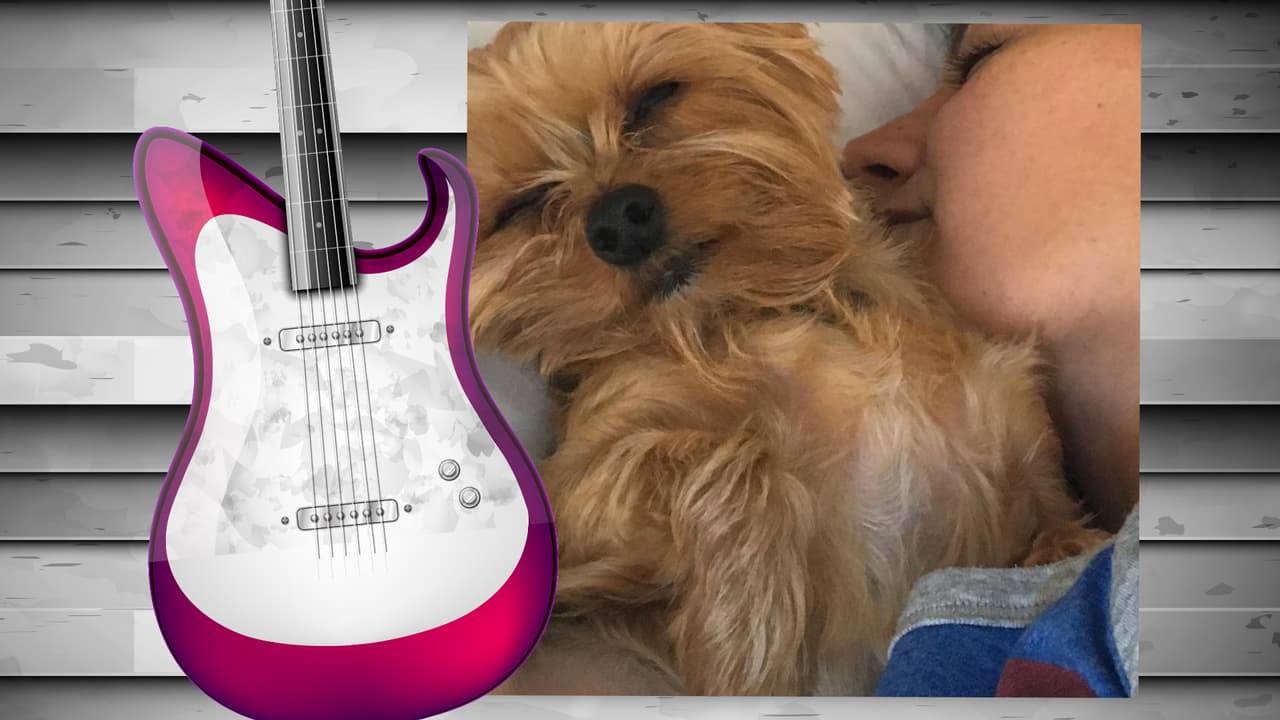 El perrito de Diana Reyes es toda una monería. Este yorkshire terrier tiene su propia cuenta de Instagram (@soyjalapeno) y acompaña a la cantante a todas partes. Aunque aún no cuenta con muchos seguidores, sólo unos 200, creemos que pronto tendrá star status. Isn't he the cutest?