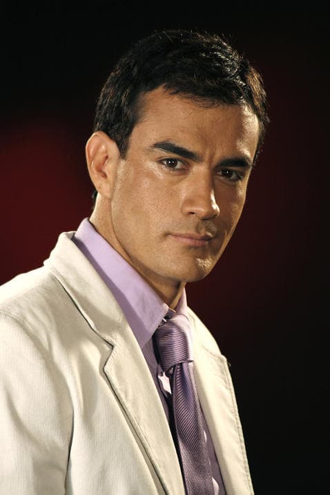 Además participó en 'Amores cruzados', 'Los Sánchez' y 'La heredera'.