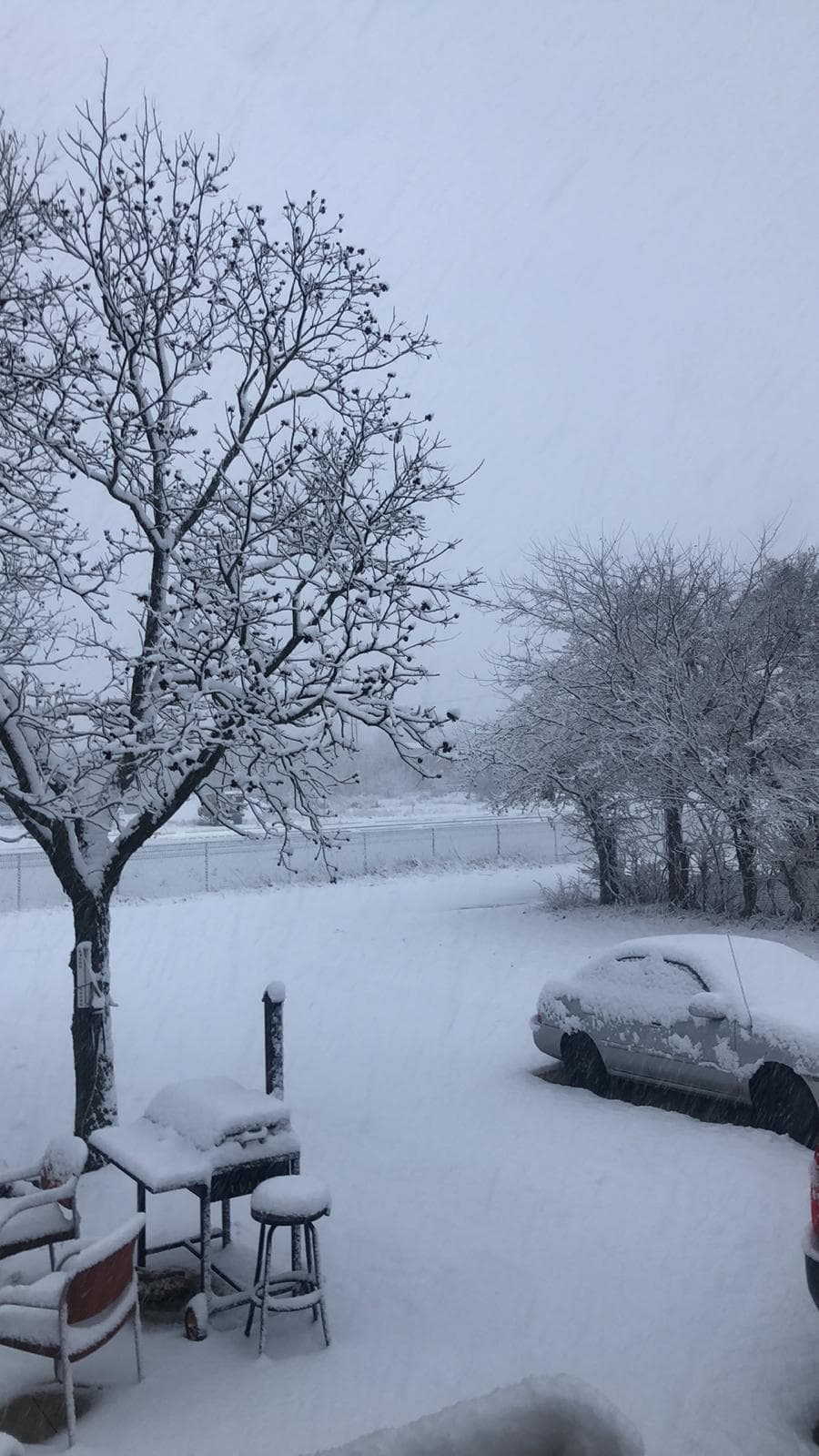Carros y árboles cubiertos de nieve es el panorama de esta madrugada en Stephenville.