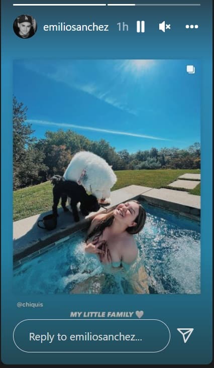 El fotógrafo colgó en sus historias la imagen en la que ella aparece con las mascotas y sobre ella escribió: "Mi pequeña familia". 
<br>