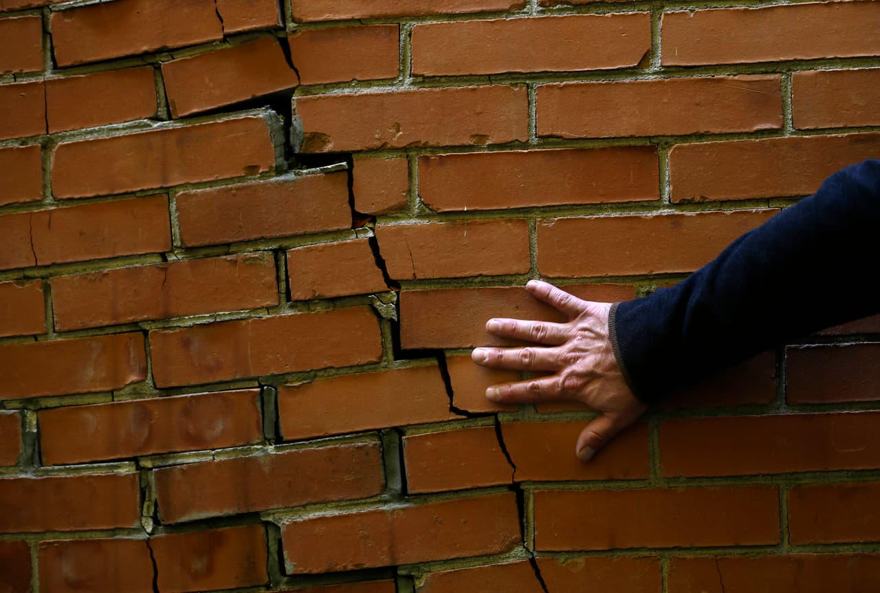 Además se recomienda que selle cualquier grieta que haya en la casa y que controle la despensa para evitar que haya comida destapada.