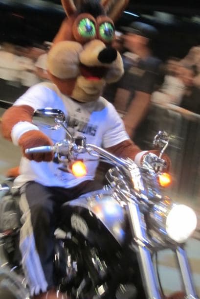 Photos: Spurs Championship Alamodome Celebration 2014