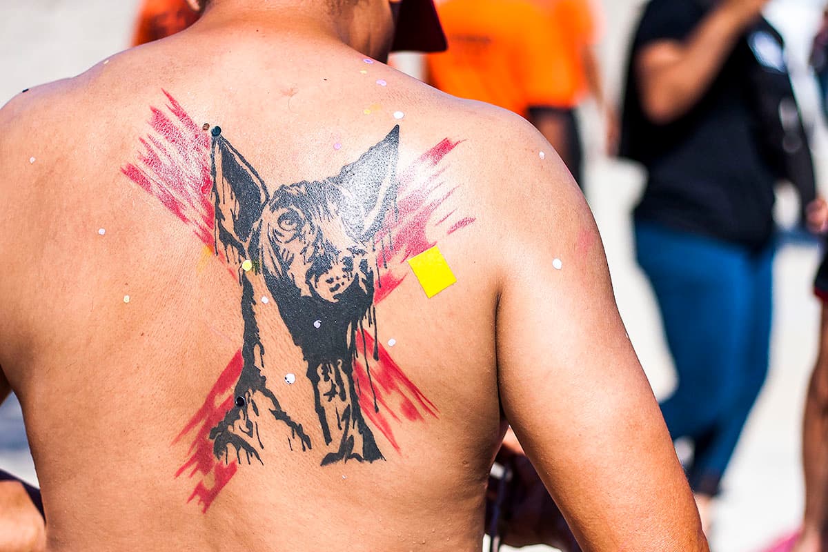 Fanático de Xolos de Tijuana en las afueras del Estadio Caliente, previo al juego contra León por la jornada 3 del Apertura 2018.