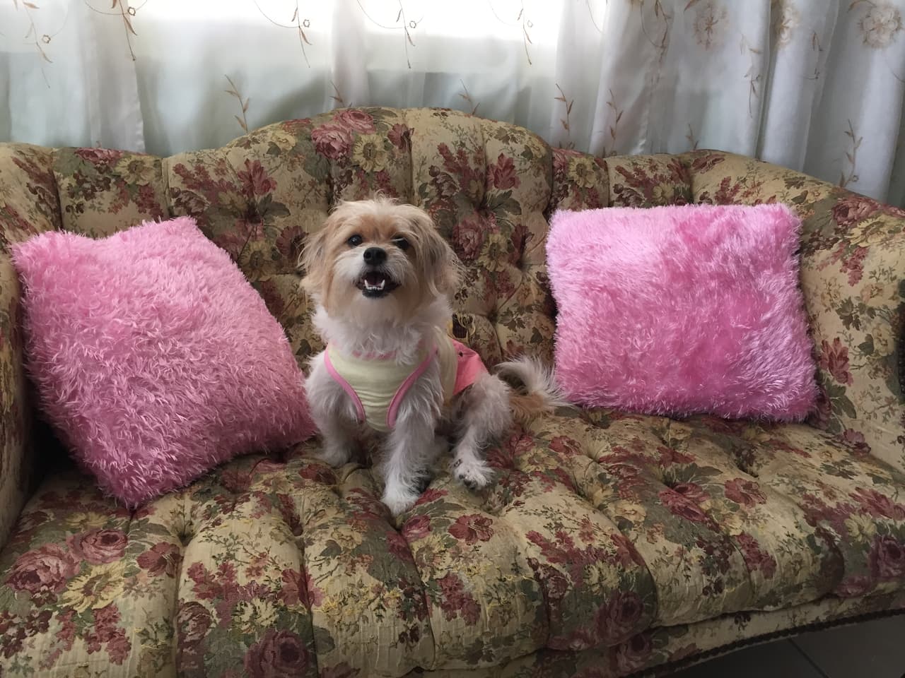 A ella le gusta mimarla y mantenerla vestida como una muñeca.