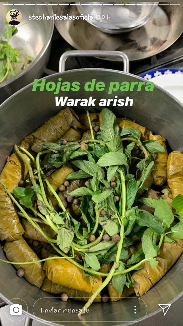 La actriz de telenovelas como La Piloto estuvo en el curso este fin de semana.