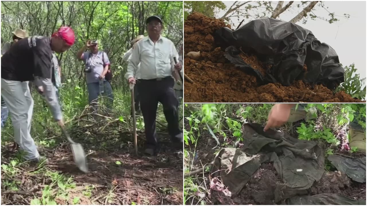<b>Hallan una fosa clandestina con más de 65 cadáveres y 5,000 restos humanos en México</b>
<br>
<br>Fue encontrada en la comunidad del Arbolillo, en donde familias esperan hallar a sus seres queridos desaparecidos hace años en Veracruz. "Aún faltan 50 fosas sin procesar", dice una activista.