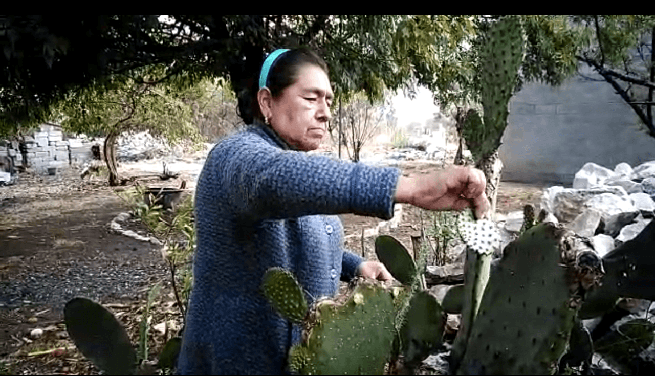 Myrna Lazcano, en Puebla, ha dejado de recibir remesas de su hija en Nueva York.