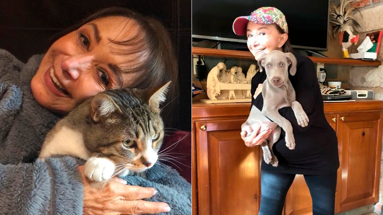 Su amor por los animales es inmenso y en muchas ocasiones, se ha dejado ver acompañada de perros y gatos.