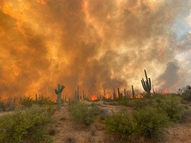 El incendio Bush ha quemado 64, 513 acres de terreno y no ha podido ser contenido. Las llamas iniciaron la tarde del domingo, junio 13. No hay estructuras dañadas hasta ahora. 
<br>