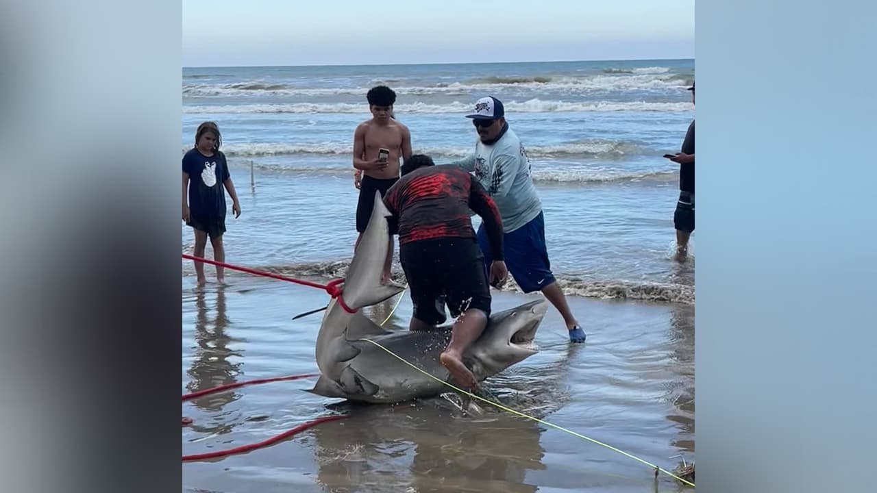 “Acabo de ver esto mientras conducía por la playa de Surfside”, dijo la joven en su página de Facebook. La publicación fue compartida miles de veces.