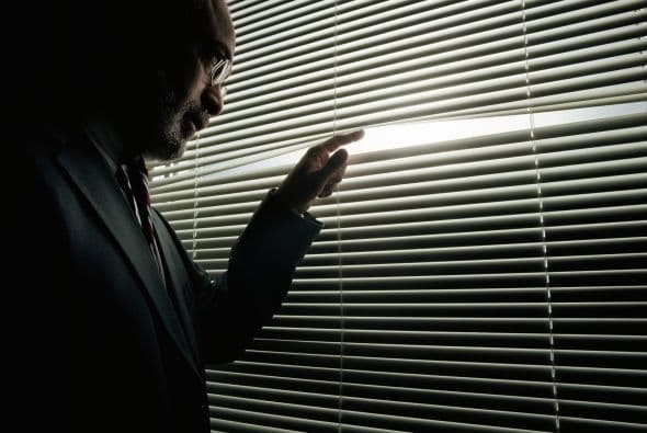 Un grupo de agentes que recibieron el nombre de "Red Avispa", fueron enviados a Estados Unidos en la década de los 90 con instrucciones precisas para penetrar departamentos militares del país, infiltrar grupos de exilados cubanos y exterminar a la organización Hermanos al Rescate, mientras implantaban medidas de seguridad que impidieran la detección de la Red. Sus objetivos estaban clasificados con nombres claves.