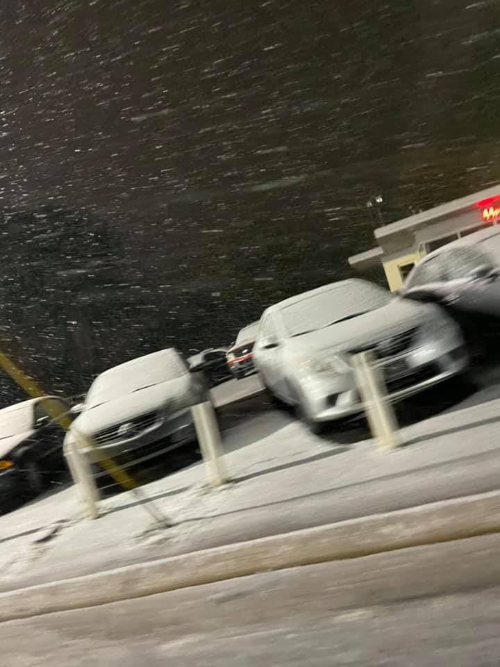 Paola Médina compartió esta fotografía desde Gainesville.