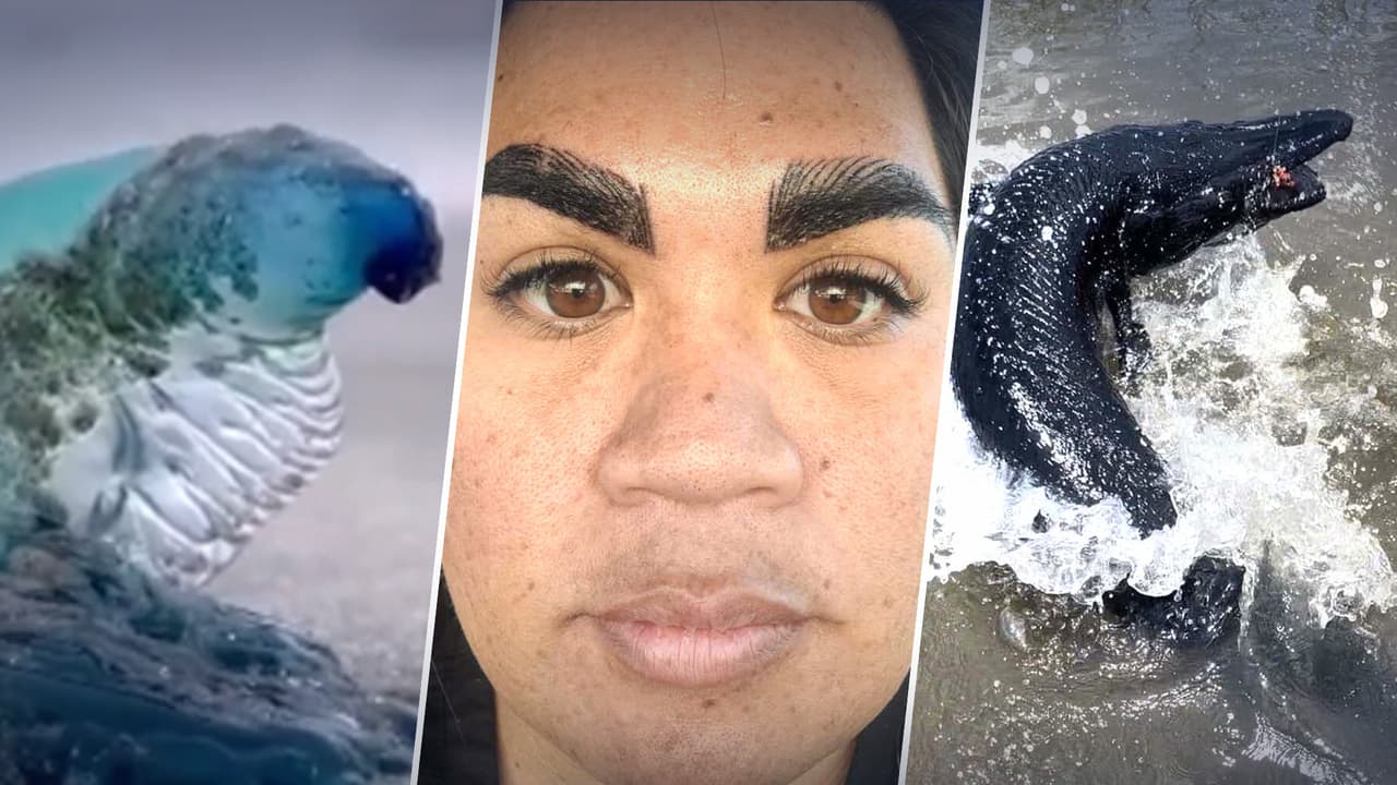 El 2022 fue un año lleno de noticias asombrosas, pero también tuvo otras tristes como homicidios que ocurrieron en en el área de Houston. 
<b>A continuación te presentamos las 10 historias más virales durante este año en Univision 45.</b>