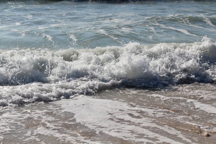 Qué es, dónde se encuentra y cómo protegerte de la “bacteria come carne”