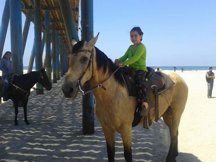 Era el 2016, 
<b>Miranda estaba montando su caballo cuando éste se desbocó y la pequeña apretó las riendas de una manera tan fuerte que se cauterizó las venas desde el antebrazo de la mano izquierda</b>.