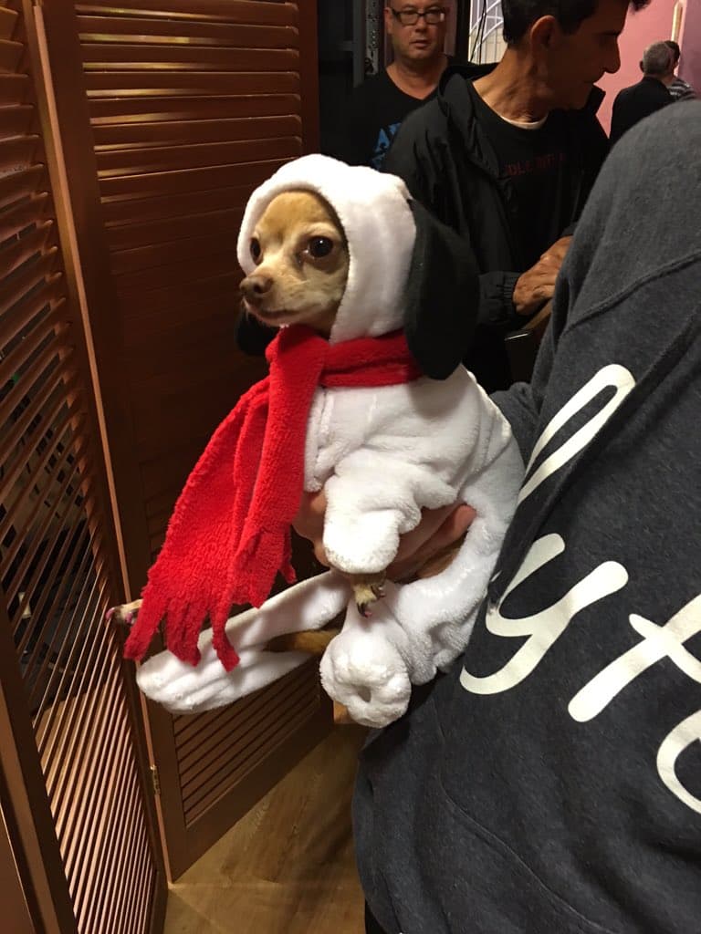 'Honey Berry' también resultó fan. ¡Hasta se disfrazó para conocer a su nuevo amiguito!