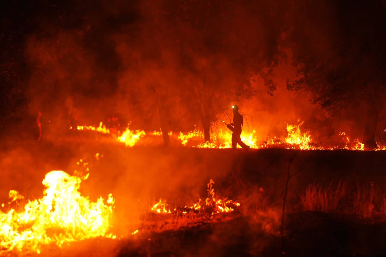 Los incendios también han provocado importantes daños ambientales, con grandes extensiones de bosque reducidas a cenizas y ecosistemas afectados por el avance del fuego. Las autoridades advierten que la recuperación de estas zonas podría tomar años, debido a la pérdida de vegetación y al impacto sobre la fauna local.
<br>