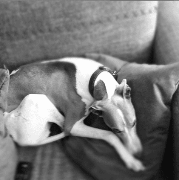 Su cuenta de Instagram la abrió en 2012, justamente con esta foto de Skinny.