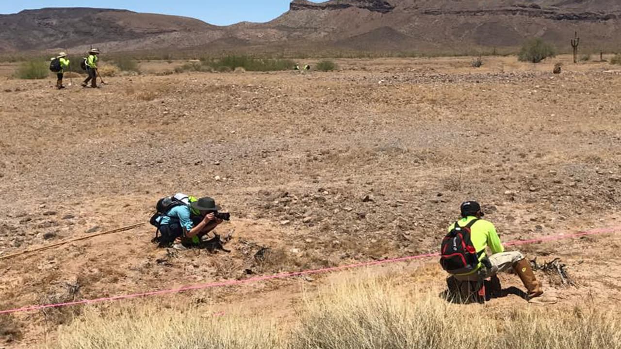 Organización humanitaria registra el hallazgo de tres cuerpos de inmigrantes.