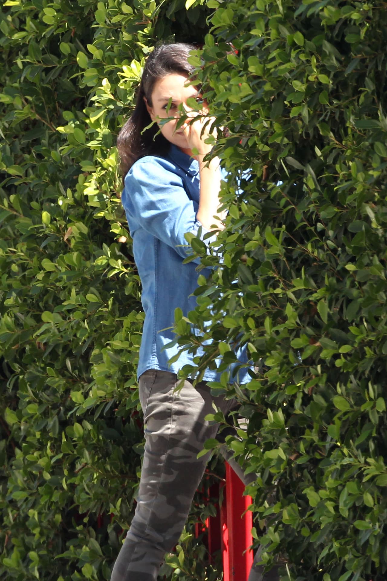 Nuevamente intentó ocultarse entre los arbustos.