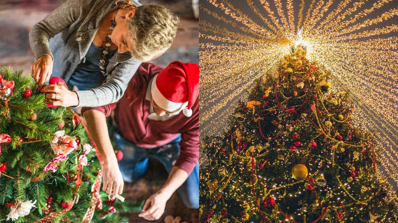 Árbol de Navidad: datos curioso que no sabías sobre su historia y significado