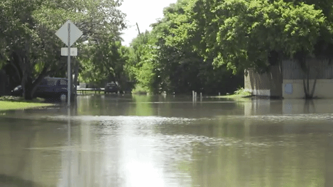 Así se siente el aumento del nivel del mar en los barrios más pobres de Miami 