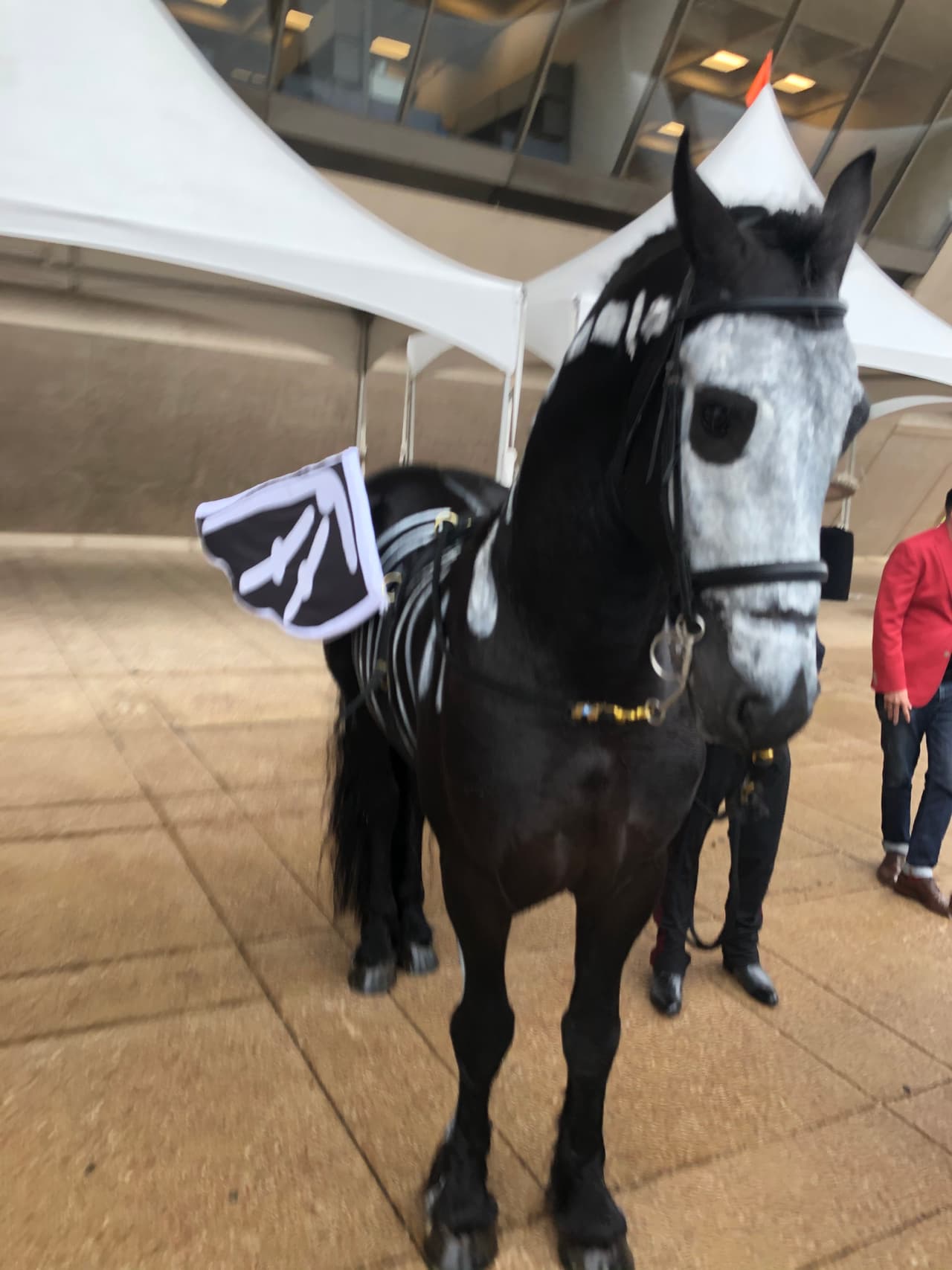 La conmemoración a los Fieles Difuntos o sino conocido como el Día de Muertos es una celebración que se realiza el 2 de noviembre.