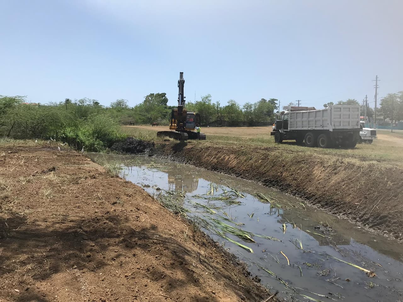 Limpieza en Boquerón en Cabo Rojo,