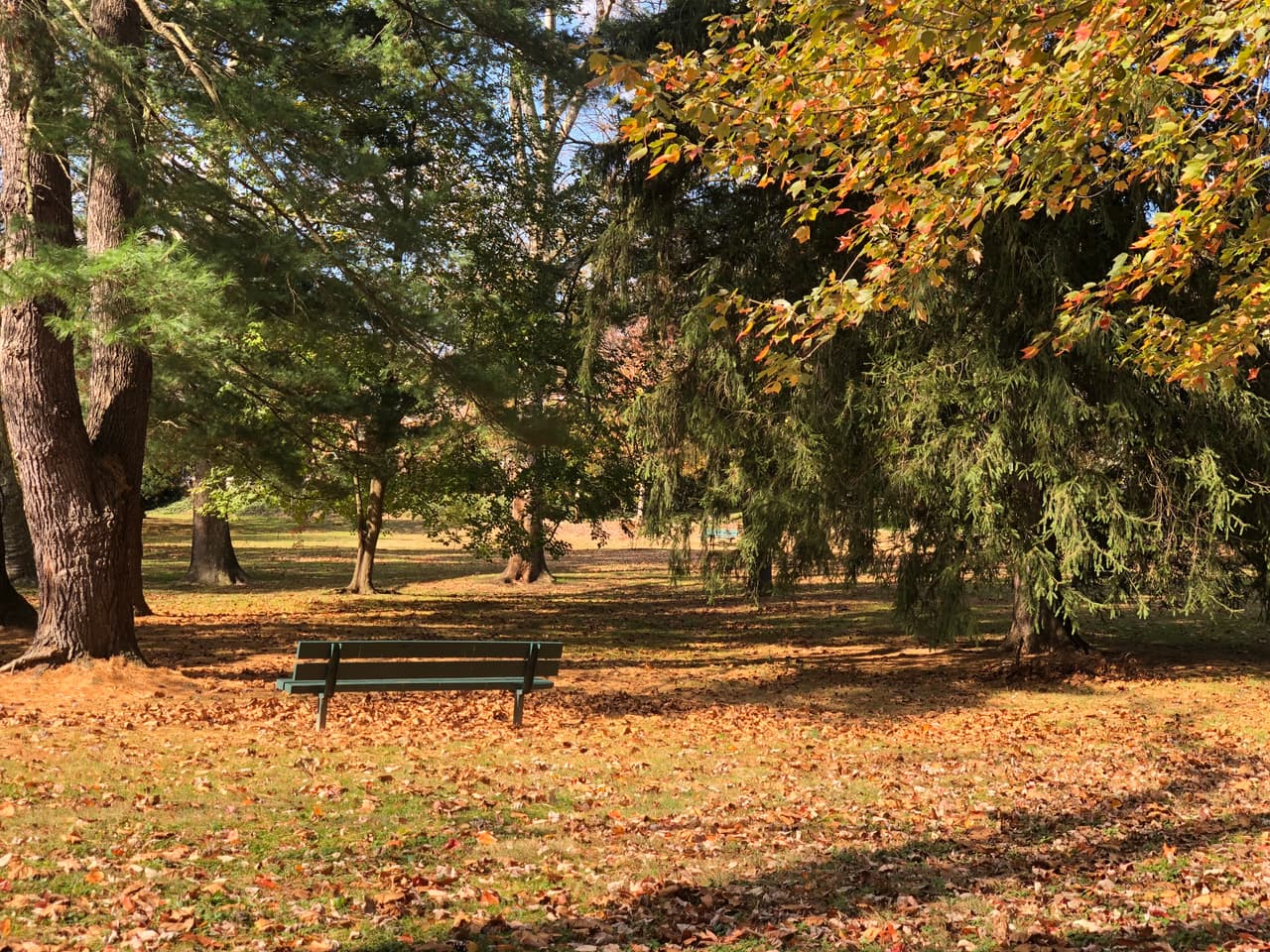 Casi 100 parques en Filadelfia participan cada temporada.
