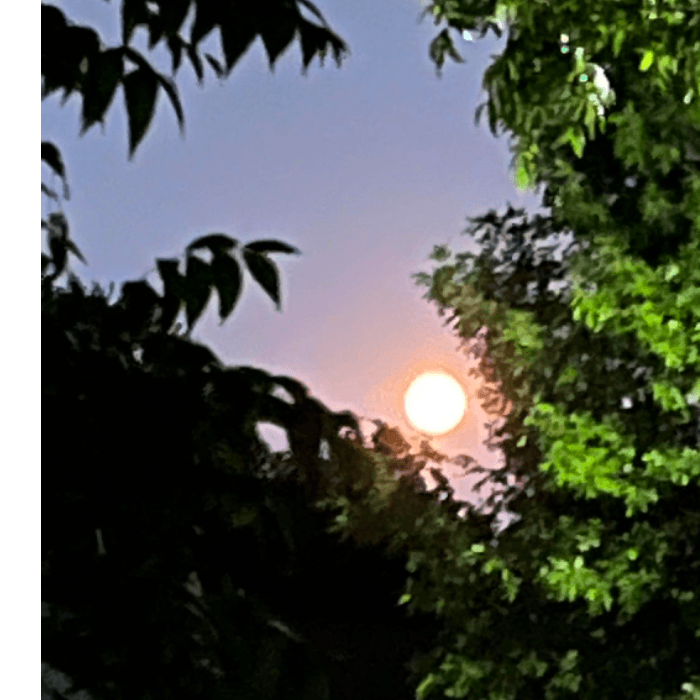 También vía nuestra herramienta de Repórtalo Eduardo Cabañas nos envió esta foto de la súperluna que tomó en Garland.