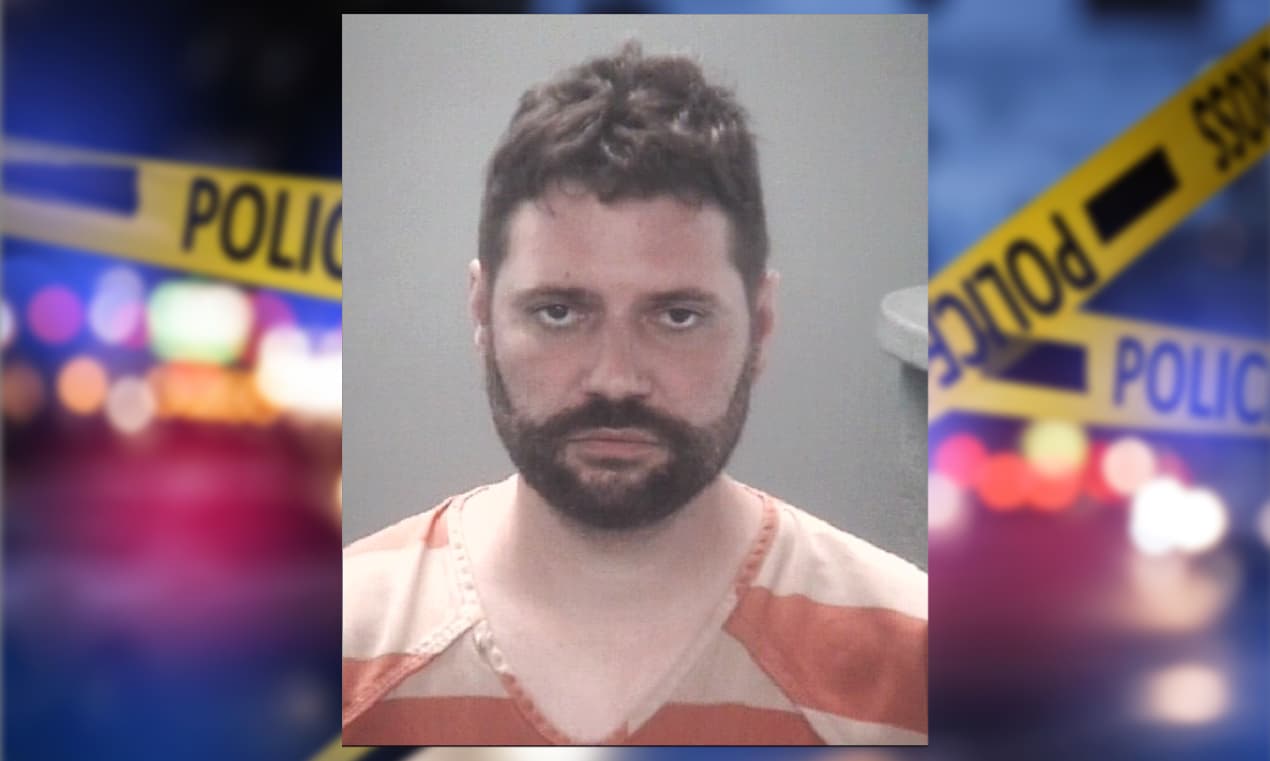 Encuentran a 3 personas viviendo con 35 gatos en una camioneta con reporte de robo