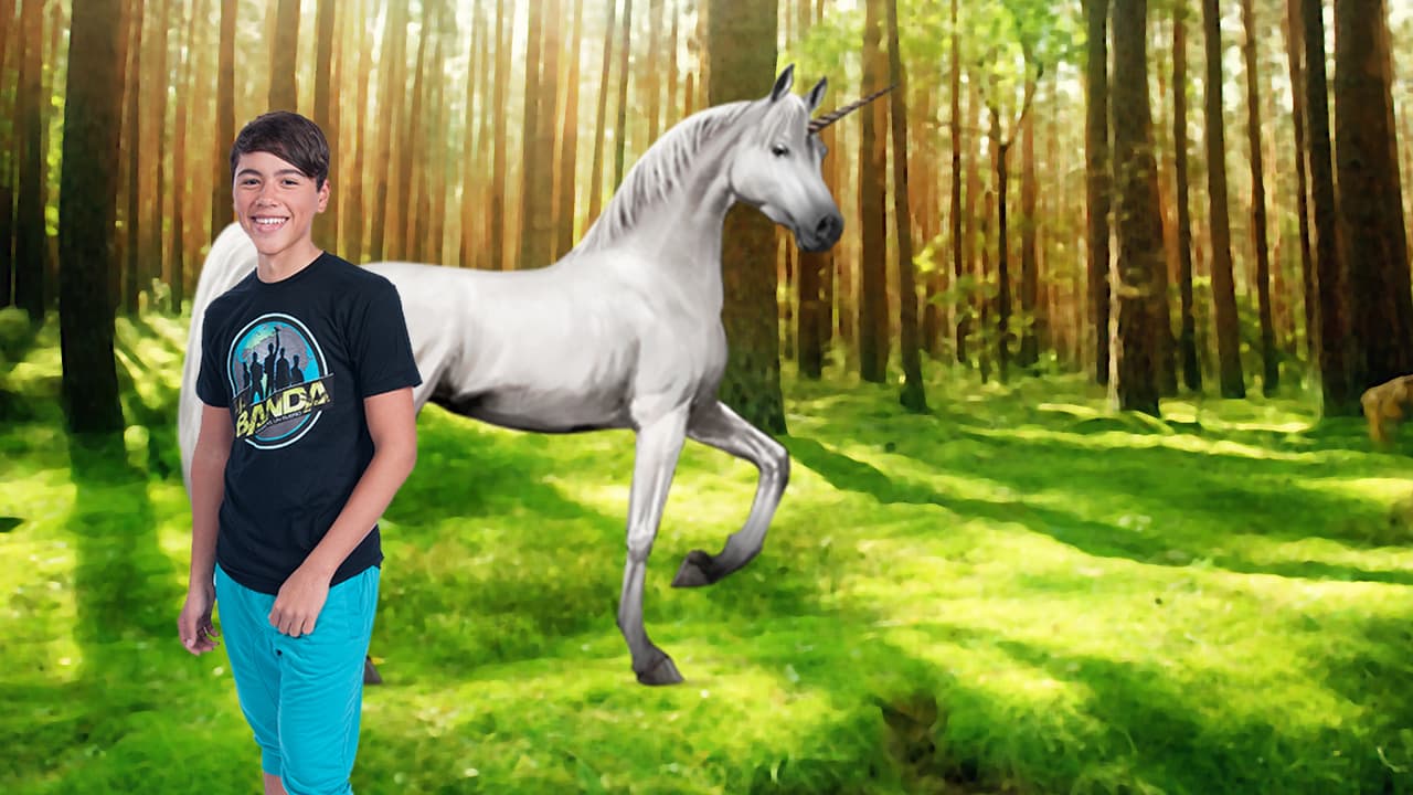 En el caso de Jaime, el unicornio sería su fiel amigo.